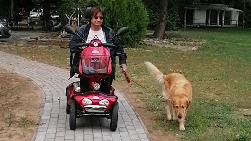 Ein Mann in einem elektrischen Rollstuhl fährt über den neuen Weg zum Tierheim. Er führt einen Golden Retriever an der Leine.