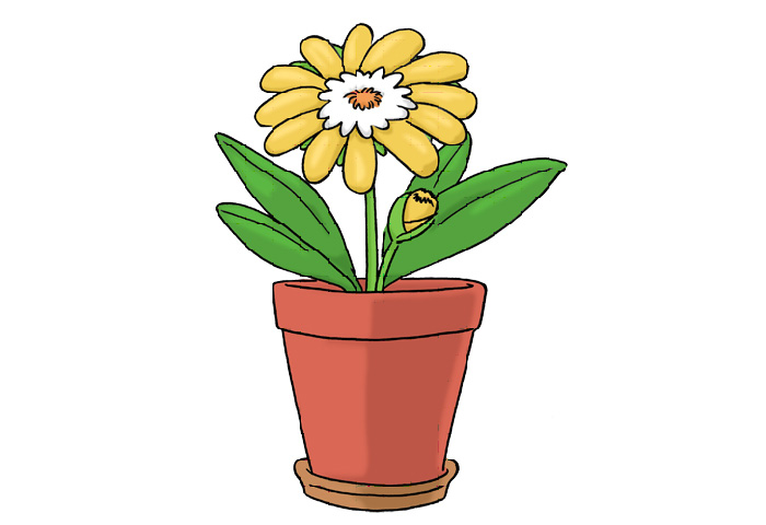gelbe Blume im Topf