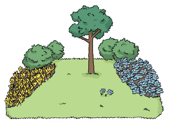 Rasenfläche mit Bäumen und Sträuchern