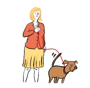 eine Frau geht mit einem Hund Gassi