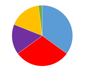 bunte Grafiktorte mit unterschiedlich großen Stücken
