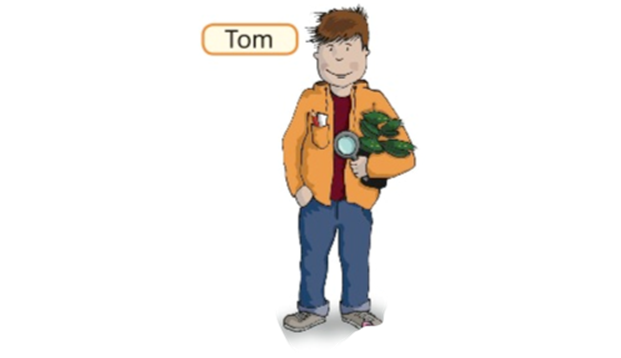 Tom