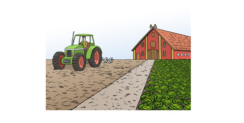 Trecker auf einem Feld