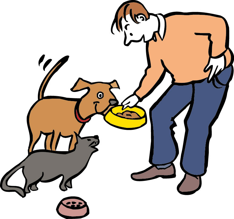 Mann füttert einen Hund und eine Katze