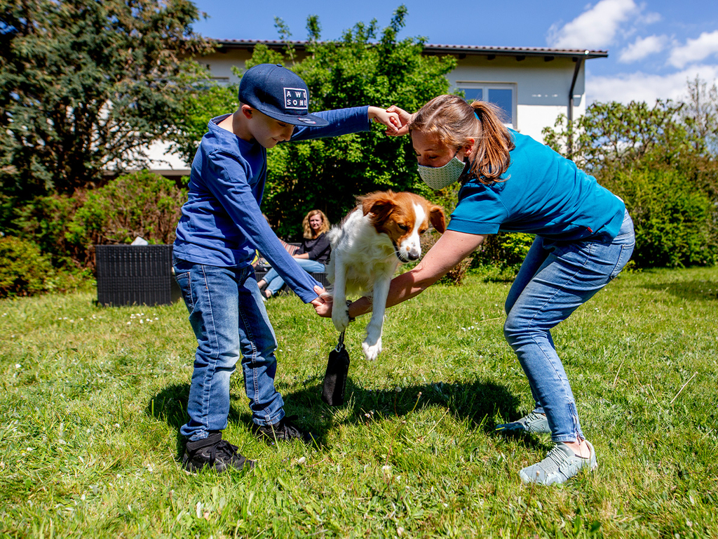 Ein Junge und eine Frau bilden mit ihren Armen einen Kreis. Der Hund springt durch diesen Kreis.