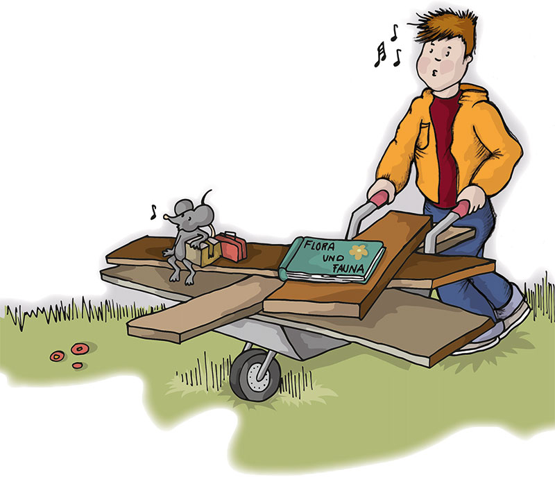 Tom schiebt eine Schubkarre mit Brettern über eine Wiese.