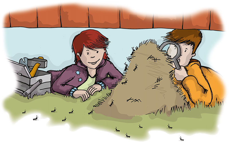 Tessa und Leo untersuchen mit einer Lupe einen Ameisenhügel unter dem Bauwagen