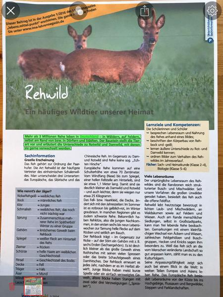 Ein analoger Artikel über Rehwild. Aufgenommen durch eine Handykamera. Eingeblendet sind Steuerelemente einer Vorlese-App.