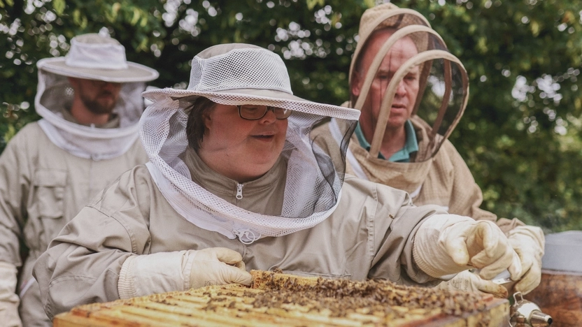 Drei Personen stehen an einem Bienenstock. Sie tragen Imkerkleidung.