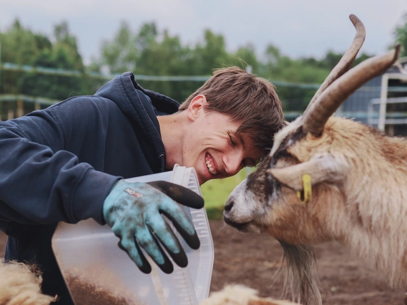 Ein junger Mann schüttet Futter in einen Trog. Neben im stehen zwei Ziegen. Er lacht.