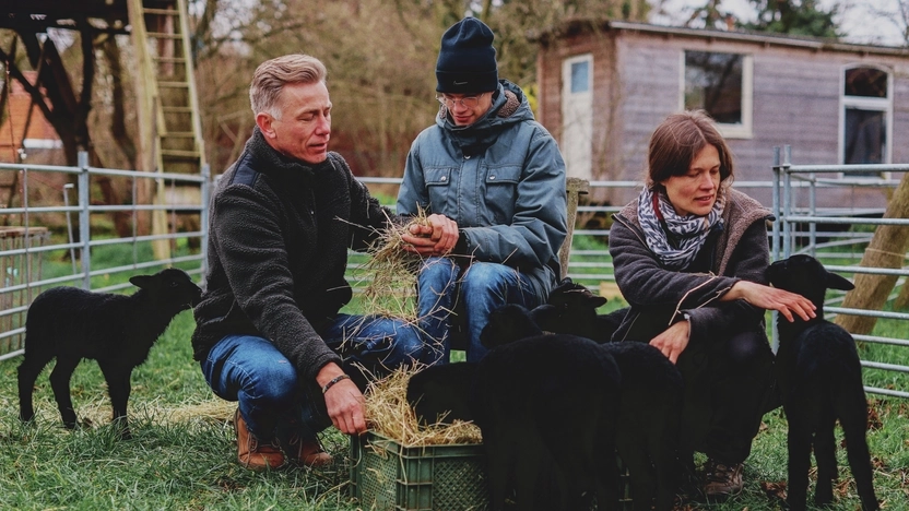 Ein Mann, eine Frau und ein Jugendlicher füttern schwarze Lämmer Heu. Sie sitzen auf einer grünen Wiese.