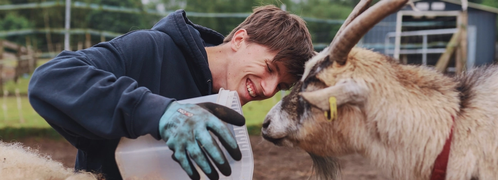 Ein junger Mann schüttet Futter in einen Trog. Neben im stehen zwei Ziegen. Er lacht.