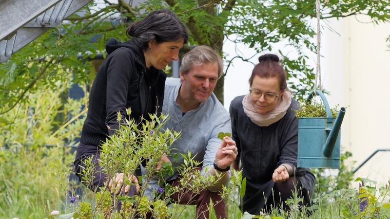 Zwei Frauen und ein Mann betrachten Pflanzen in einem Garten.