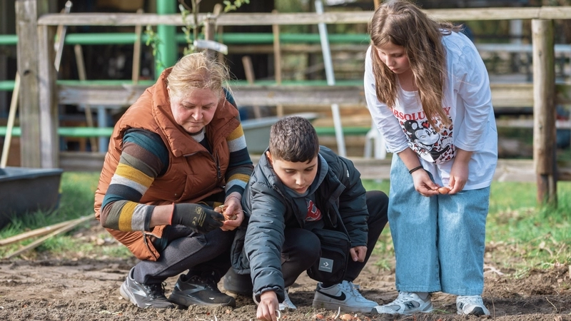 Eine Frau und zwei Kinder pflanzen etwas auf einem Beet