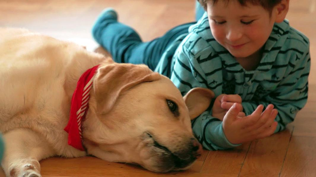 Ein Junge lächelt einen Hund an.