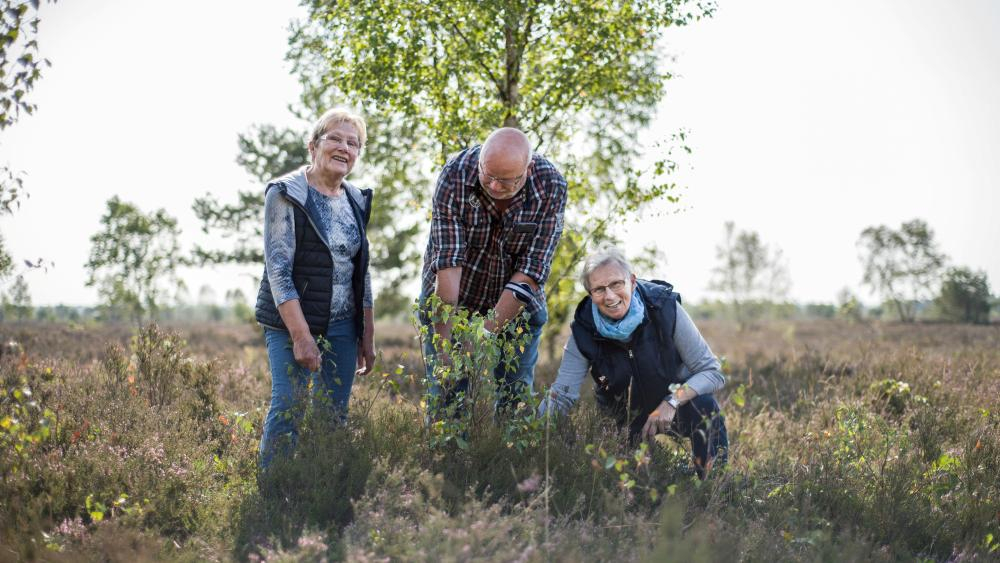 Drei ältere Menschen pflegen die Heide in Schneverdingen