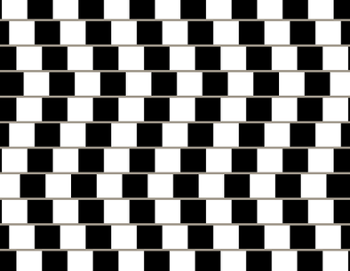 Grafik von schwarz-weiß gefüllten Balken, die aussehen, als seien sie schief, obwohl sie parallel verlaufen.