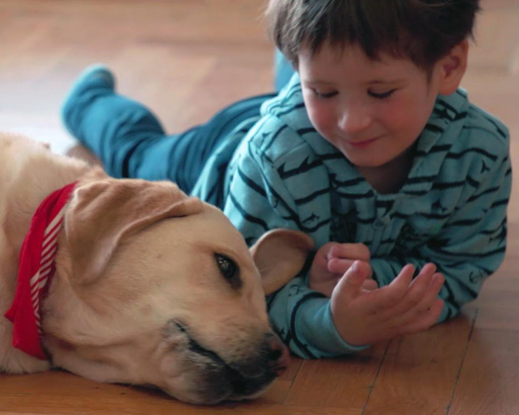 Ein Junge schaut einen Hund an.